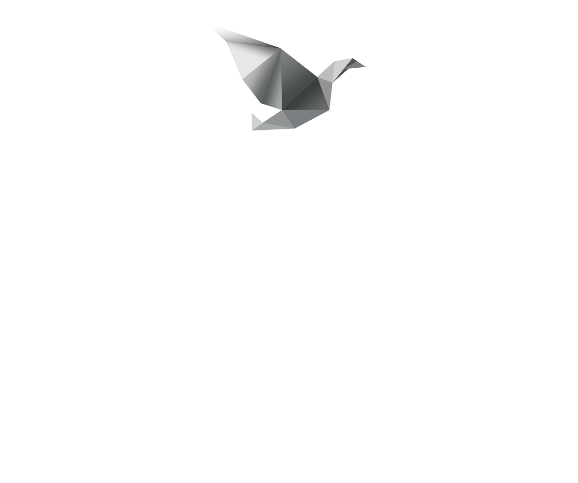BOLU'DA
